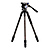 Carbon Fiber Tripod Kit with BV8H Head (75mm)