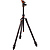 Eclipse Winston Carbon Fiber Tripod with AirHed 360 Ball Head (Gunmetal Gray)