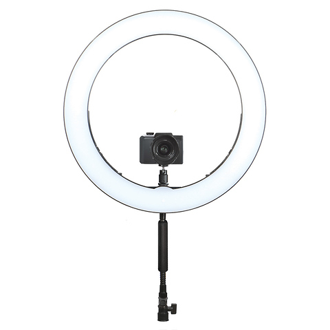 Bi-Color LED Ring Light (19 In.) Image 0