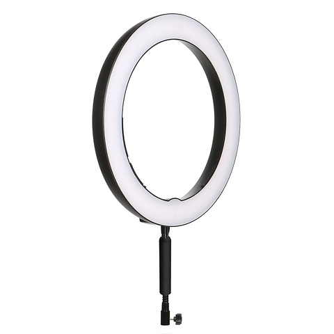 Bi-Color LED Ring Light (19 In.) Image 1