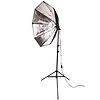 OctaBella 1000W 2-LED Light Softbox Kit Thumbnail 3