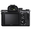 Alpha a7R III Mirrorless Digital Camera with Vario-Tessar T* FE 24-70mm f/4 ZA OSS Lens Thumbnail 8