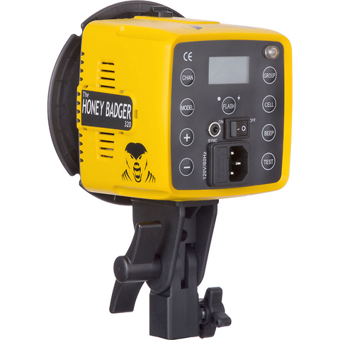 Honey Badger 320Ws Compact Flash Head Image 3