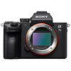 Alpha a7 III Mirrorless Digital Camera Body with Sony 64GB SF-G Tough UHS-II SDXC Memory Card Thumbnail 5