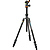 Travis Aluminum Travel Tripod with AirHed Neo Ball Head (Black)