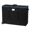 Car Case for ARRI S60 SkyPanel Thumbnail 0