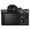 Alpha a7R III Mirrorless Digital Camera Body - Pre-Owned Thumbnail 1