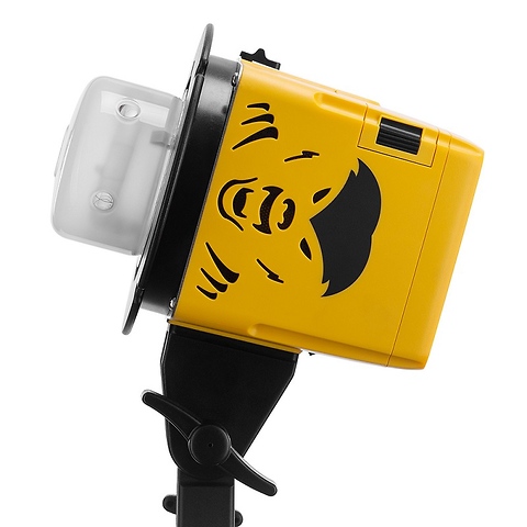 Badger Unleashed 250Ws Compact Flash Head Image 1