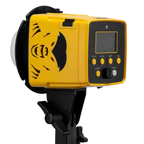 Badger Unleashed 250Ws Compact Flash Head Image 2