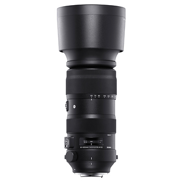 60-600mm f/4.5-6.3 DG OS HSM Sports Lens for Nikon F