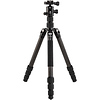 Tripster Travel Tripod (2 Series, Black, Carbon Fiber) Thumbnail 0