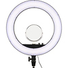 LR160 Bi-Color Ringlight (Black) Thumbnail 0