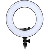 LR180 Daylight Ring Light (Black) Thumbnail 0