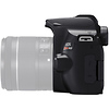 EOS Rebel SL3 Digital SLR Body (Black) - Open Box Thumbnail 3