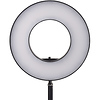 10 in. Orbit Bi-Color LED Ring Light Thumbnail 3