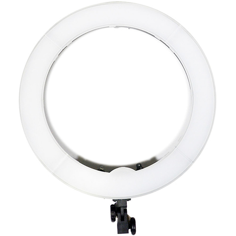 Luminous Pro Daylight 19 in. LED Ringlight Image 0