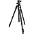 Pro AL-323BH4 Tripod with SBH-400 Triple Action Ball Head (Matte Black)