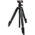 Sprint Mini III Travel Tripod with SBH-100 DQ Compact Ball Head (Matte Black)