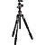 Befree GT XPRO Aluminum Travel Tripod with 496 Center Ball Head
