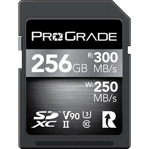 256GB UHS-II SDXC Memory Card