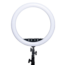 17 in. Vlogger Ring Light Image 0