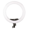 17 in. Bi-Color LED Ring Light Thumbnail 0