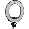 13.5 in. LED Ring Light Thumbnail 0