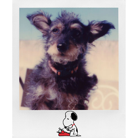 Color i-Type Instant Film (Peanuts Edition, 8 Exposures) Image 5
