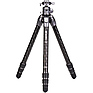 Tortoise Columnless Carbon Fiber Three Series Tripod with GX35 Ball Head