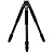 CLT303 3-Series Induro Classic Carbon Fiber Tripod