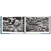 Sebastiao Salgado: Amazonia - Hardcover Book Thumbnail 2