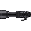 150-600mm f/5-6.3 DG DN OS Sports Lens for Sony E Thumbnail 4
