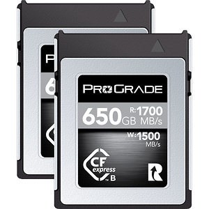 650GB CFexpress 2.0 Type B Cobalt Memory Card (2-Pack)