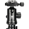 R2204 Carbon Fiber Tripod with E-20 Ball Head Thumbnail 2