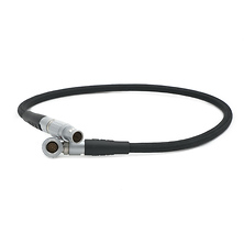 RED LCD/EVF RA CABLE 18