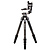 TTOR35C Carbon Fiber Tripod with GH2F Folding Gimbal Head