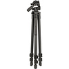 Pro AL-523-3W Aluminum 3-Section Tripod with Arca-Type 3-Way Pan-Tilt Head Thumbnail 1