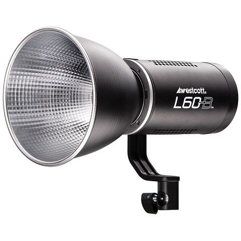L60-B Bi-Color COB LED (60W) Image 3