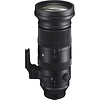 60-600mm f/4.5-6.3 DG DN OS Sports Lens for Sony E Thumbnail 0