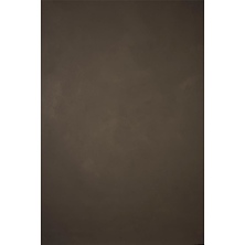8.9 x 9.8 ft. Hand Painted Classic Collection Canvas Strong Texture Backdrop (Warm Gray) Image 0