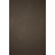 8.9 x 13 ft. Hand Painted Classic Collection Canvas Strong Texture Backdrop (Warm Gray) Image 0