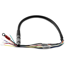 1.3 ft. 9-Pin EXT to Flying Lead Cable Image 0
