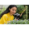 NIKKOR Z DX 12-28mm f/3.5-5.6 PZ VR Lens Thumbnail 3