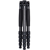 T-1205 Carbon Fiber Travel Tripod with E-10 Ball Head Thumbnail 4