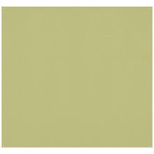 8 x 8 ft. Wrinkle-Resistant Backdrop (Light Moss Green) Image 0