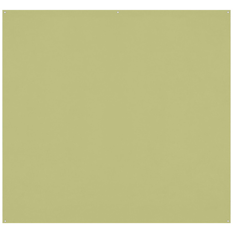 8 x 8 ft. Wrinkle-Resistant Backdrop (Light Moss Green) Image 0