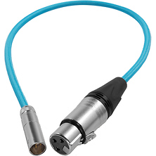 Mini-XLR Male to XLR Female Audio Cable for Canon C70 & BMPCC 6K/4K (16 in., Blue) Image 0