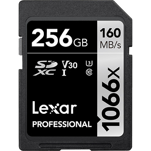 256GB Professional 1066x UHS-I SDXC Memory Card (SILVER Series)