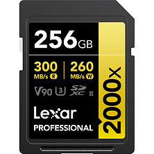 256GB Professional 2000x UHS-II SDXC Memory Card Image 0