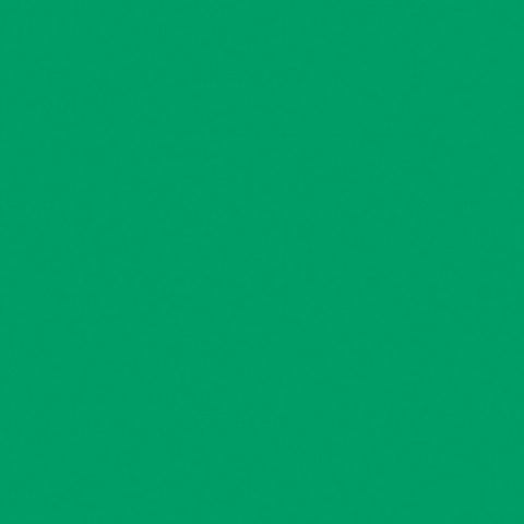 21 x 24 in. E-Colour #089 Moss Green (Sheet) Image 0